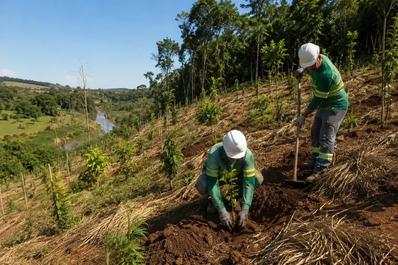 PRAD e Recuperação Ambiental